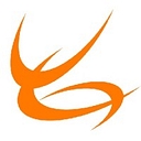 The Young Group, Llc. logo