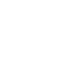 The Zig