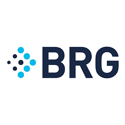 Thinkbrg logo