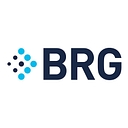 Berkeley Research Group Llc logo