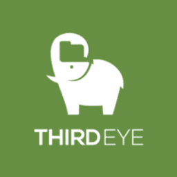 Third Eye Consulting Services & Solutions, LLC logo
