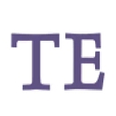 Third Eye Solutions Inc. logo