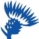 Thistly Cross Cider logo