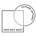 This Way Next logo