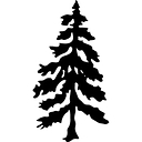 J.M. Thomas Forest Products logo