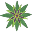 Thompson Duke Industrial logo