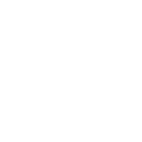 Thorndene Ltd logo
