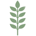 Thrive Wellness of Reno, LLC logo