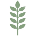 Thrive Wellness Reno logo