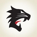 ThunderCat Technologies