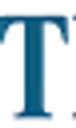 Thunder Group Inc logo