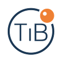 TiB CONSULTANCY logo