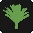 Tasman Insurance Brokers Limited logo