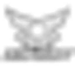 Chongqing Zongshen Power Machinery Co.Ltd Logo