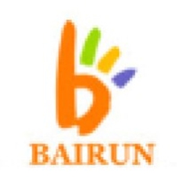 Shanghai Bairun Investment Holding Group Co. Ltd. Logo