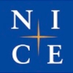 NICE Information Service Co. Ltd. Logo