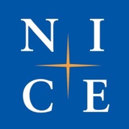NICE Holdings Co. Ltd. Logo