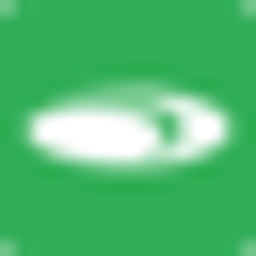 Seoul Semiconductor Co. Ltd. Logo