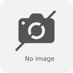 Pan-International Industrial Corp. Logo