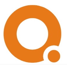Luoyang Xinqianglian Slewing Bearing Co. Ltd. Logo