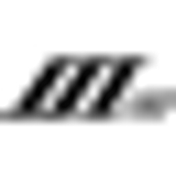 Software Service Inc. Logo