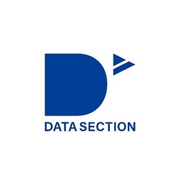 Datasection Inc. Logo