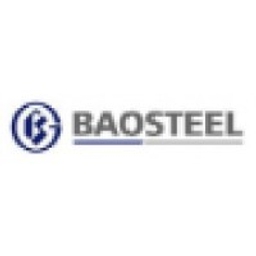 Baoshan Iron & Steel Co. Ltd. Logo