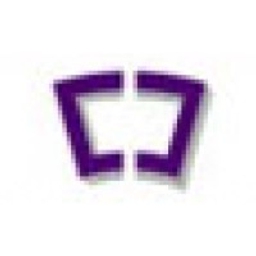China Enterprise Company Limited Logo