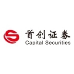 Capital Securities Corporation Limited Logo