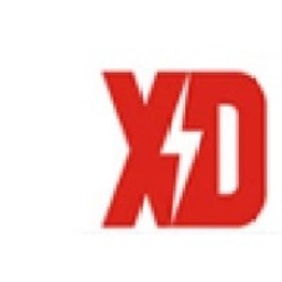 China XD Electric Co. Ltd Logo