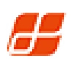 Loncin Motor Co. Ltd. Logo