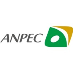 Anpec Electronics Corporation Logo