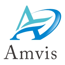 Amvis Holdings Inc. Logo