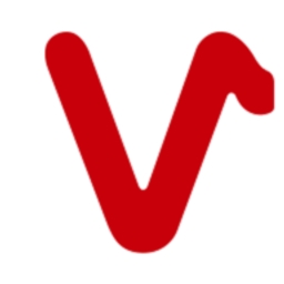 Valor Holdings Co. Ltd. Logo