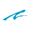 Agassi Sports Entertainment Corp.