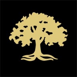 AVALON HOLDINGS CORP - CLASS A logo