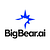 BigBear.ai Holdings, Inc.