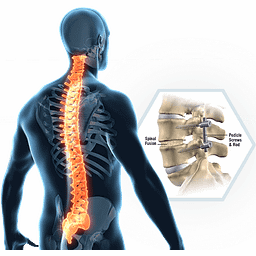 شعار Bone Biologics Corp