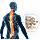 Bone Biologics Corporation