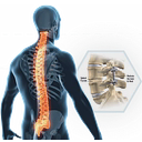 Bone Biologics Corp
