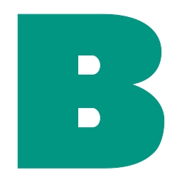Badger Infrastructure Solutions Ltd. Logo