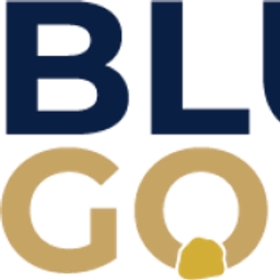 BLUE GOLD LIMITED logo