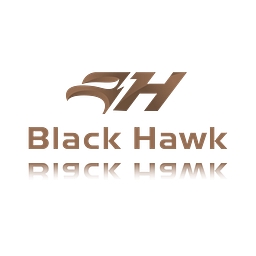 Black Hawk Acquisition Corp logo