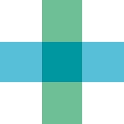 Bausch & Lomb Corp logo