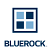 Bluerock Acquisition Corp.
