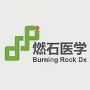 Burning Rock Biotech Ltd