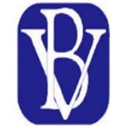 BV Financial Inc. Logo