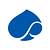 Capgemini SE