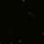 Cellectar Biosciences, Inc.