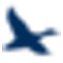 Chesapeake Financial Shares, Inc.